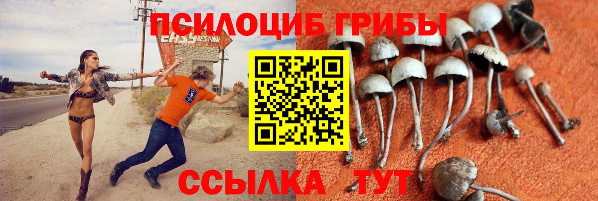 Псилоцибиновые грибы Magic Shrooms  Вход с VPN  Прокопьевск 