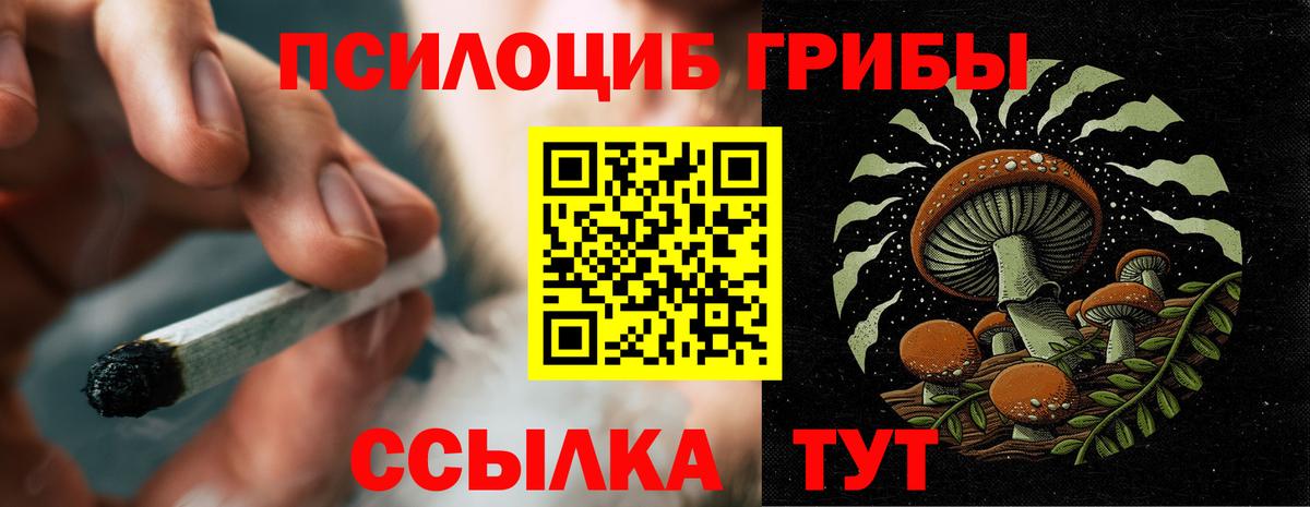 Галлюциногенные грибы Psilocybe Прокопьевск